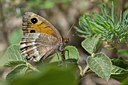 BUITEN BEELD Foto: 134894
