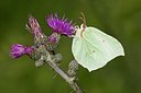 BUITEN BEELD Foto: 134951