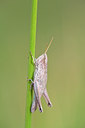BUITEN BEELD Foto: 134956