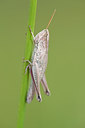 BUITEN BEELD Foto: 135047