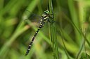 BUITEN BEELD Foto: 135308