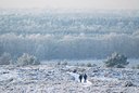BUITEN BEELD Foto: 135317