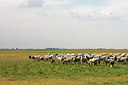 BUITEN BEELD Foto: 135338