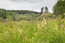 BUITEN BEELD Foto: 135442