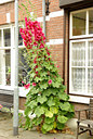 BUITEN BEELD Foto: 135496