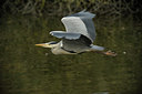 BUITEN BEELD Foto: 135771