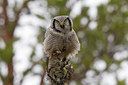 BUITEN BEELD Foto: 135787