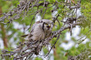 BUITEN BEELD Foto: 135790