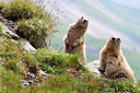 BUITEN BEELD Foto: 135887