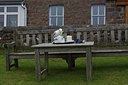 BUITEN BEELD Foto: 136154