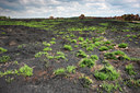 BUITEN BEELD Foto: 136258