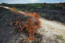 BUITEN BEELD Foto: 136260