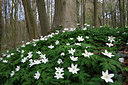 BUITEN BEELD Foto: 136361