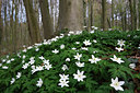 BUITEN BEELD Foto: 136417