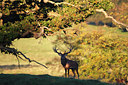 BUITEN BEELD Foto: 136424