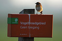 BUITEN BEELD Foto: 136437