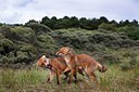 BUITEN BEELD Foto: 136545