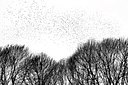 BUITEN BEELD Foto: 136701