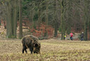 BUITEN BEELD Foto: 136723
