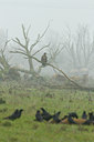 BUITEN BEELD Foto: 136732