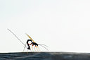 BUITEN BEELD Foto: 136759