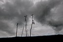 BUITEN BEELD Foto: 136902