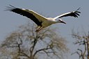 BUITEN BEELD Foto: 136962