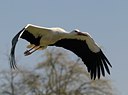 BUITEN BEELD Foto: 136963