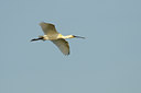 BUITEN BEELD Foto: 136991