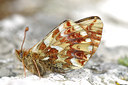 BUITEN BEELD Foto: 136997