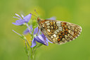 BUITEN BEELD Foto: 137041
