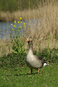 BUITEN BEELD Foto: 137211