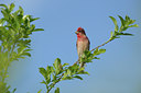 BUITEN BEELD Foto: 137354
