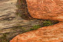 BUITEN BEELD Foto: 137387