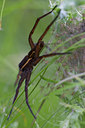 BUITEN BEELD Foto: 137397