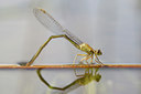 BUITEN BEELD Foto: 137398