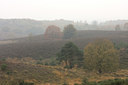 BUITEN BEELD Foto: 137399
