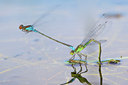 BUITEN BEELD Foto: 137400