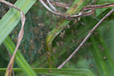 BUITEN BEELD Foto: 137406