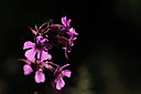 BUITEN BEELD Foto: 137416