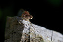 BUITEN BEELD Foto: 137436