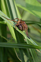BUITEN BEELD Foto: 137438