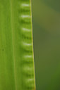 BUITEN BEELD Foto: 137490
