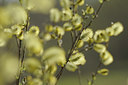 BUITEN BEELD Foto: 137493