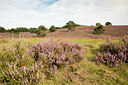 BUITEN BEELD Foto: 137521