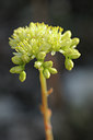 BUITEN BEELD Foto: 137558