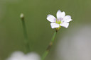 BUITEN BEELD Foto: 137571