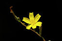 BUITEN BEELD Foto: 137572