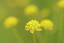 BUITEN BEELD Foto: 137579
