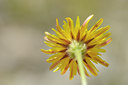 BUITEN BEELD Foto: 137602